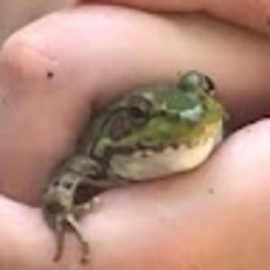 Meet your Posher, Meemaw